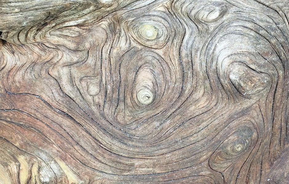 driftwood details