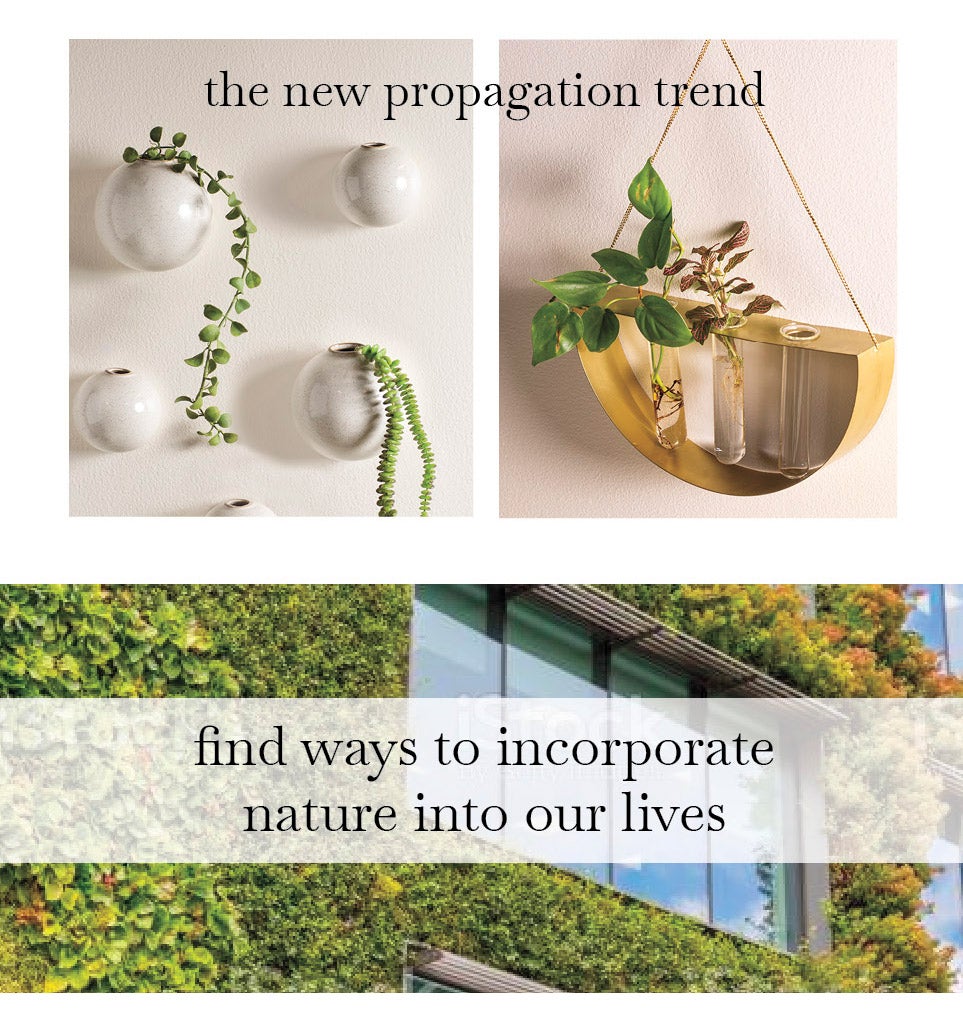 ceramic wall bubble vases and semi-circle hanging propagation planter. find ways to incorporate nature into our lives