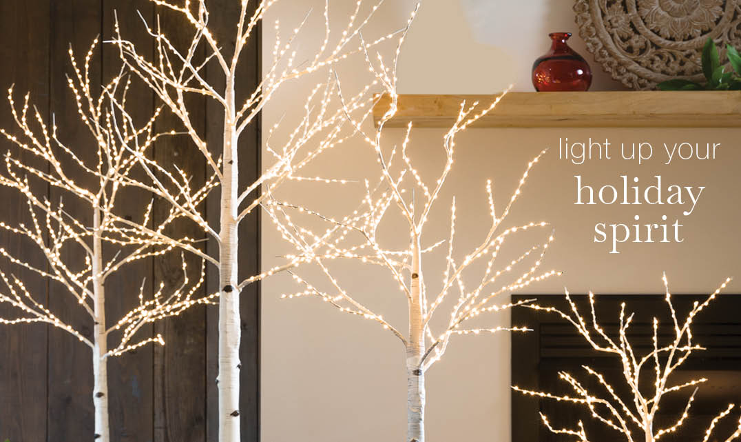 image of Lighted Birch Trees - light up your holiday spirit