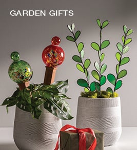 Image of glass plant stakes and terracotta and glass plant quenchers. Shop Garden Gifts.