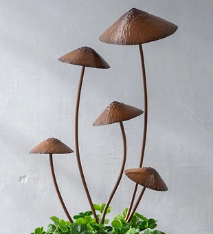 Image of Mushroom Garden Stakes in planter