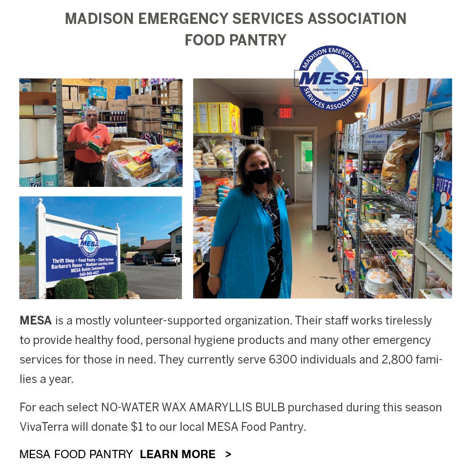 MADISON EMERGENCY SERVICES ASSOCIATION FOOD PANTRY. MESA is a mostly volunteer-supported organization. Their staff works tirelessly to provide healthy food, personal hygiene products and many other emergency services for those in need.  They currently serve 6300 individuals and 2800 families a year.  For each select NO_WATER WAX AMARYLLIS BULB purchased during this season VivaTerra will donate $1 to our local MESA Food Pantry. Learn more about MESA Food Pantry