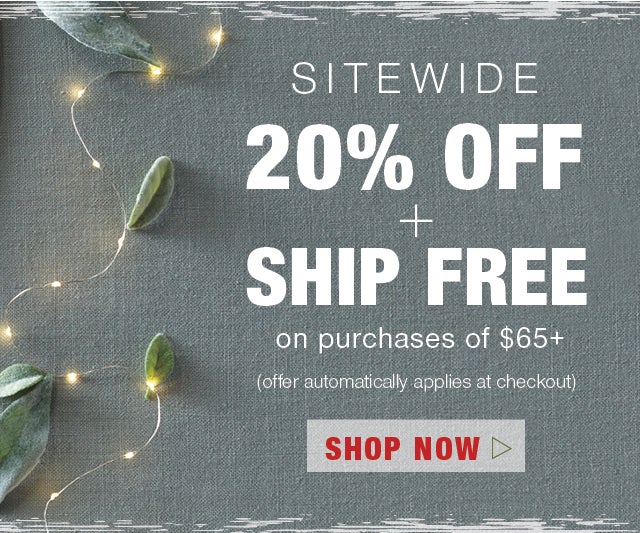 20% off + Free Shipping on $65
