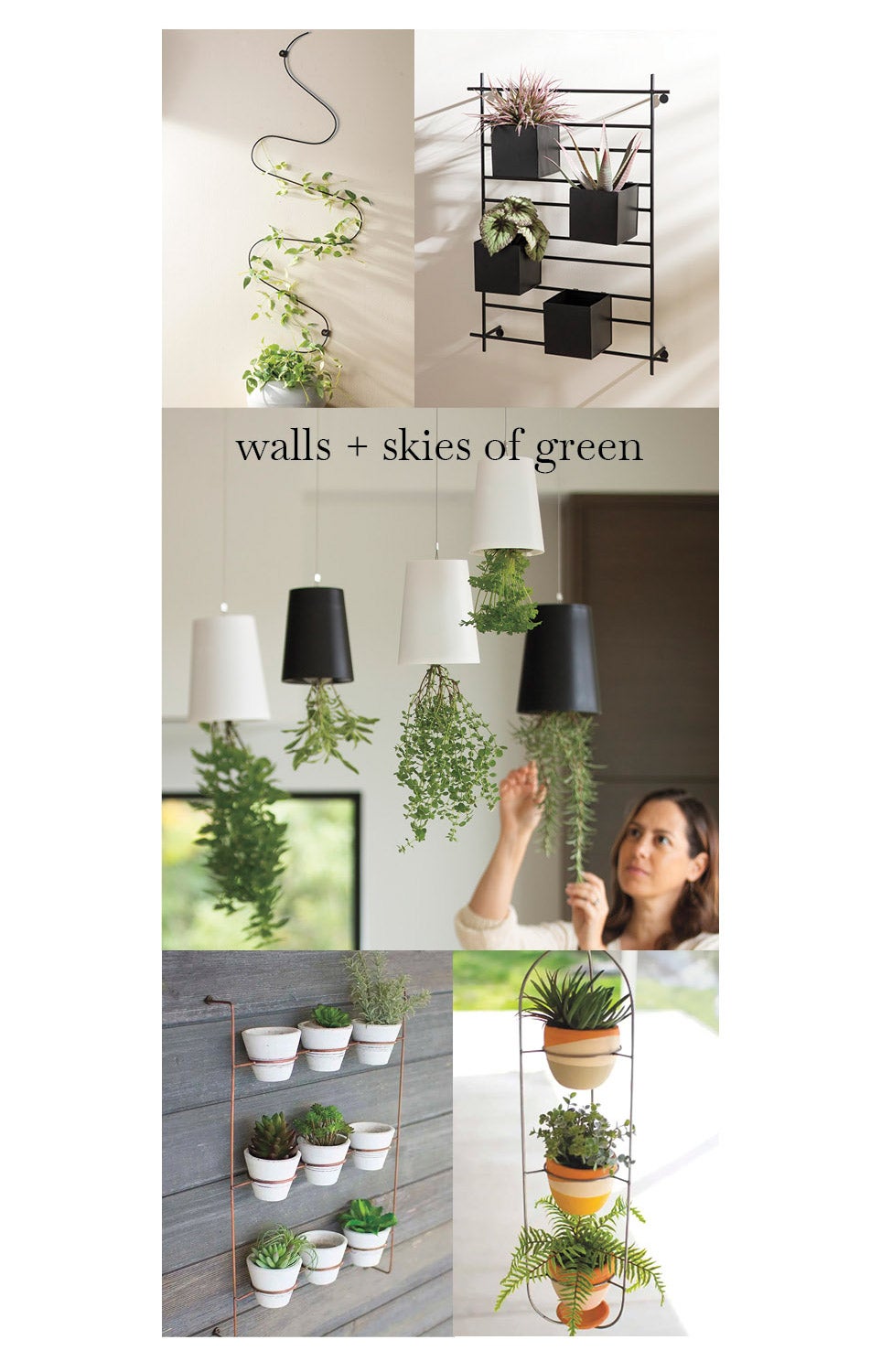 winding wall trellis and vertical wall planter with recycled sky planters. white wash clay pots on copper finish wall rack set of 9 and Hanging Metal Frame with 3-Tier Terracotta Planters.  wall + skies of green. image of