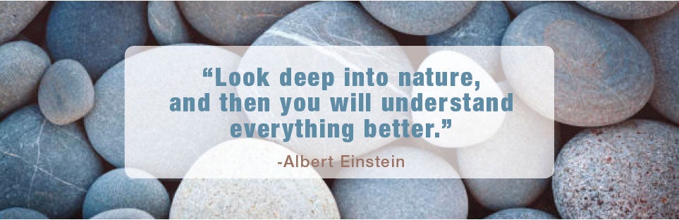 "Look deep into nature, and then you will understand everything better." -  Albert Einstein