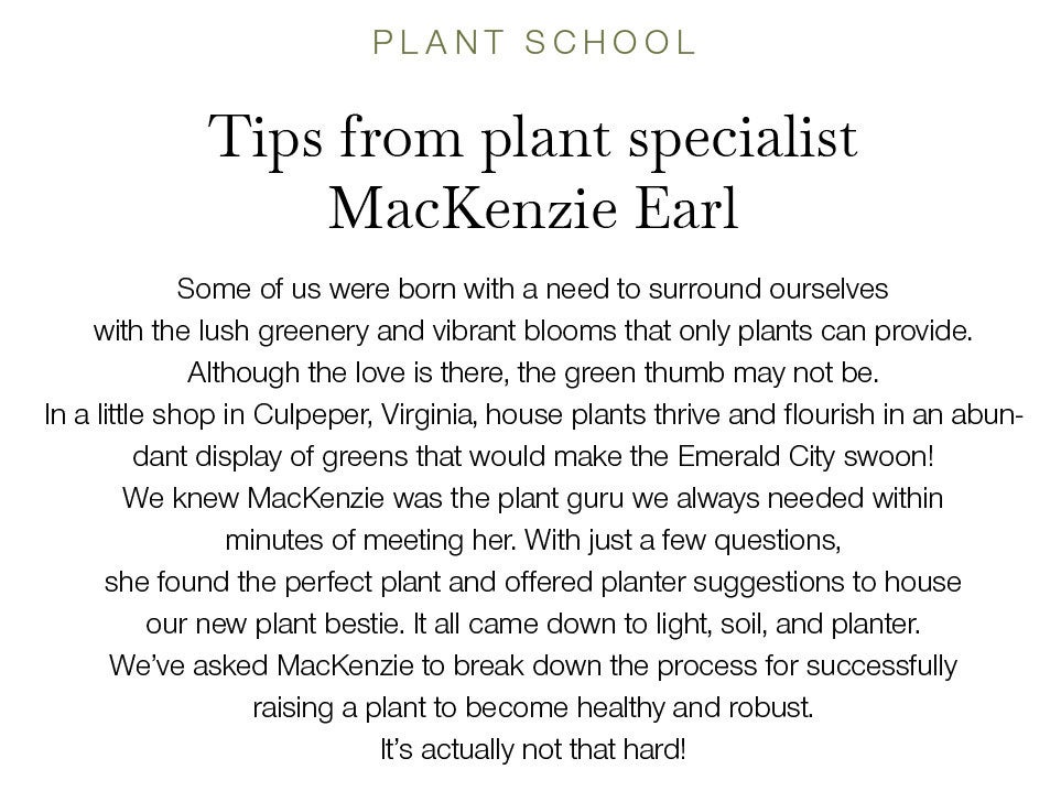 Tips from plant specialist MacKenzie Earl. Some of us were born with a need to surround ourselves with the lush greenery and vibrant blooms that only plants can provide. Although the love is there, the green thumb may not be. In a little shop in Culpeper, Virginia, house plants thrive and flourish in an abundant display of greens that would make the Emerald City swoon! We knew MacKenzie was the plant guru we always needed within minutes of meeting her. With just a few questions, she found the perfect plant and offered planter suggestions to house our new plant bestie. It all came down to light, soil, and planter. We've asked MacKenzie to break down the process for successfully raising a plant to become healthy and robust. It’s actually not that hard!