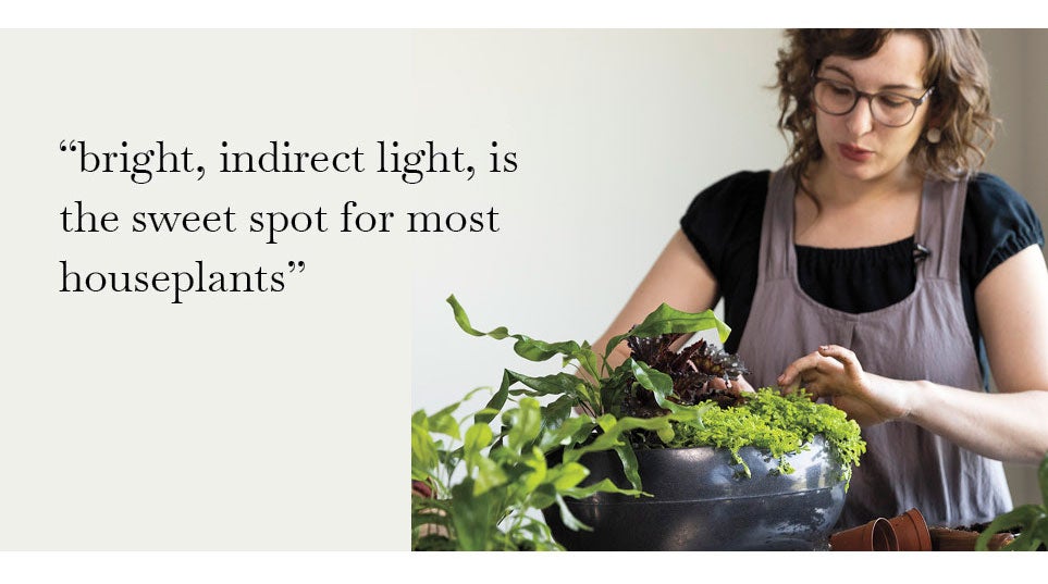 image of woman and planter with plants. bright, indirect light, is the sweet spot for most houseplants