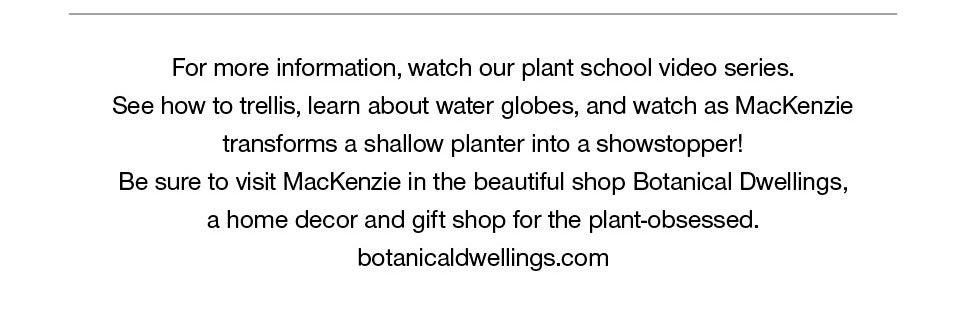 For more information, watch our plant school video series. See how to trellis, learn about water globes, and watch as MacKenzie transforms a shallow planter into a showstopper!<br />Be sure to visit MacKenzie in the beautiful shop Botanical Dwellings, a home decor and gift shop for the plant-obsessed.<br />botanicaldwellings.com