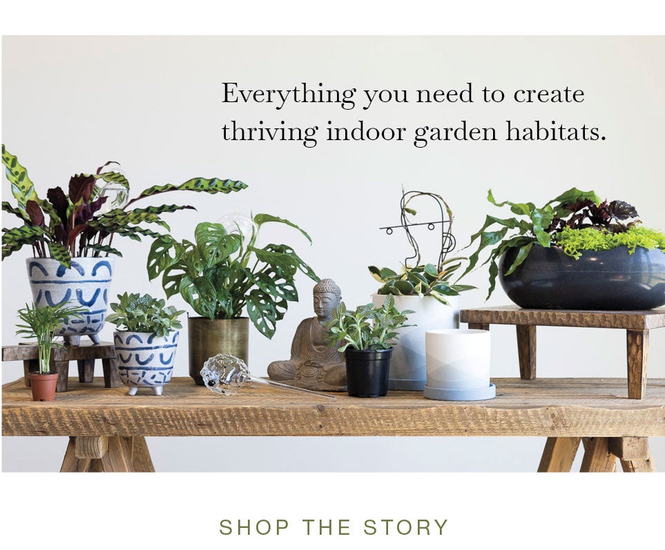 Everything you need to create thriving indoor garden habitats. SHOP THE STORY