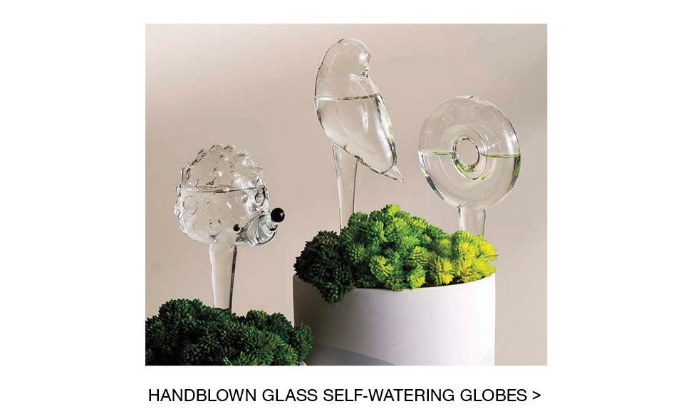 HANDBLOWN GLASS SELF-WATERING GLOBES