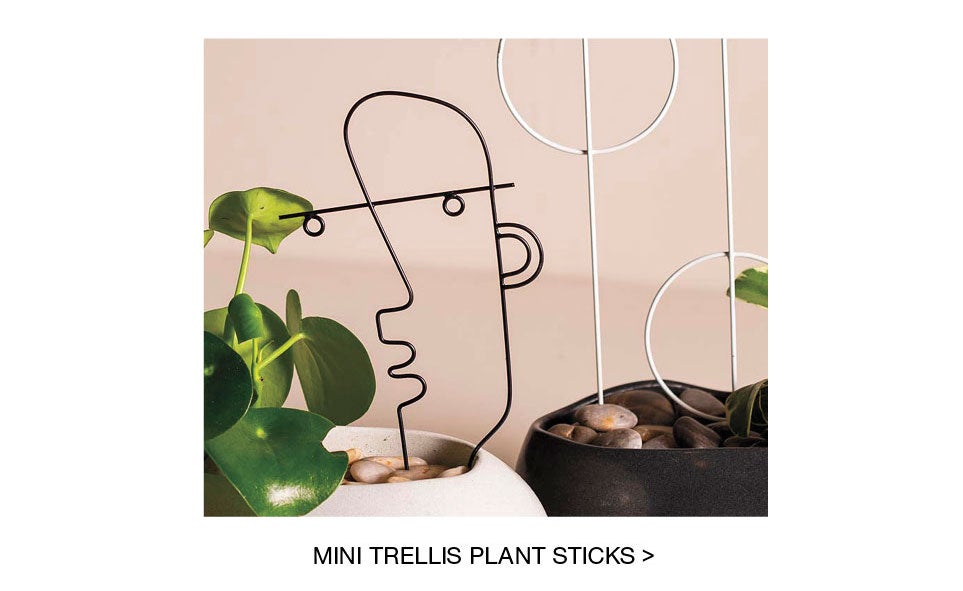 MINI TRELLIS PLANT STICKS