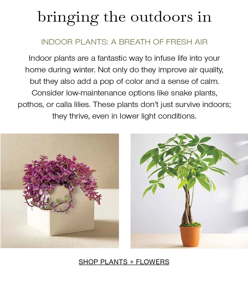Bringing the Outdoors In<br /><br />Indoor Plants: A Breath of Fresh Air<br />Indoor plants are a fantastic way to infuse life into your home during winter. Not only do they improve air quality, but they also add a pop of color and a sense of calm. Consider low-maintenance options like snake plants, pothos, or calla lilies. These plants don't just survive indoors; they thrive, even in lower light conditions.