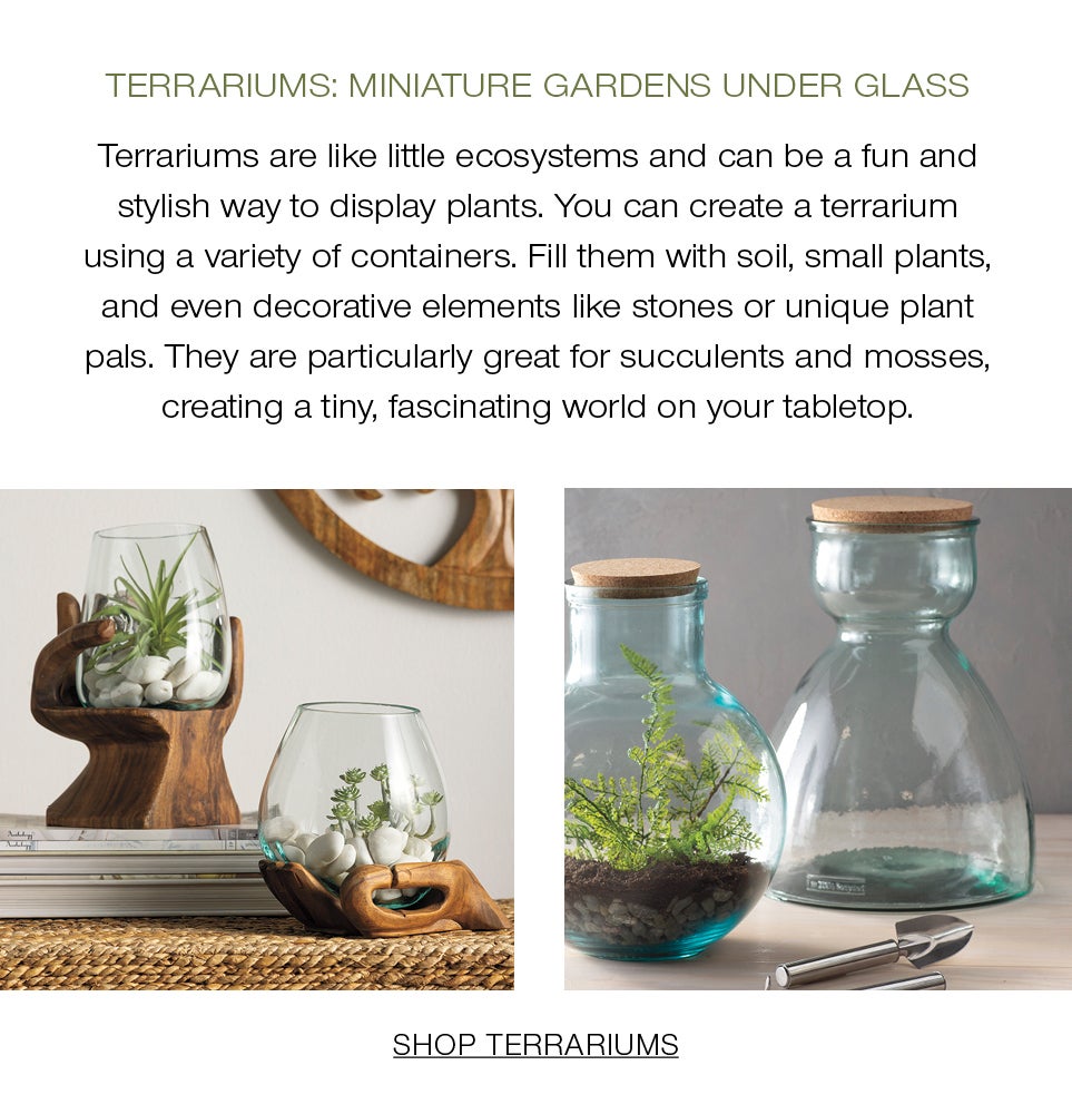 Terrariums: Miniature Gardens under Glass<br />Terrariums are like little ecosystems and can be a fun and stylish way to display plants. You can create a terrarium using a variety of containers – from glass bowls to house-shaped ones. Fill them with soil, small plants, and even decorative elements like stones or unique plant pals. They are particularly great for succulents and mosses, creating a tiny, fascinating world on your tabletop.