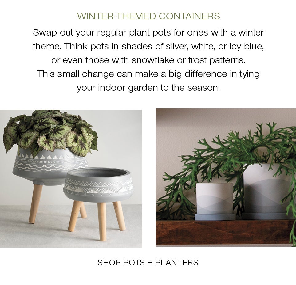 Winter-Themed Containers<br />Swap out your regular plant pots for ones with a winter theme. Think pots in shades of silver, white, or icy blue, or even those with snowflake or frost patterns. This small change can make a big difference in tying your indoor garden to the season.